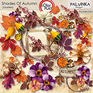 Shades Of Autumn Clusters