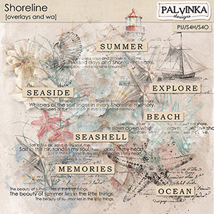 Shoreline Overlays and WA