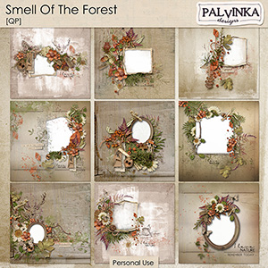 Smell Of The Forest QP