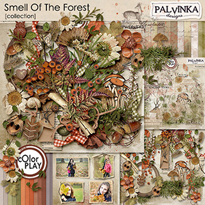 Smell Of The Forest Collection