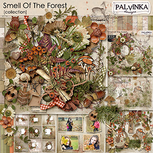 Smell Of The Forest Collection & QP