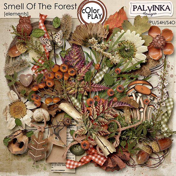 Smell Of The Forest Elements 