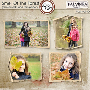 Smell Of The Forest Photomasks and Torn Papers