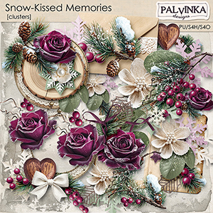 Snow-Kissed Memories Clusters