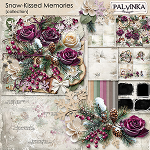 Snow-Kissed Memories Collection