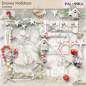 Snowy Holidays Clusters