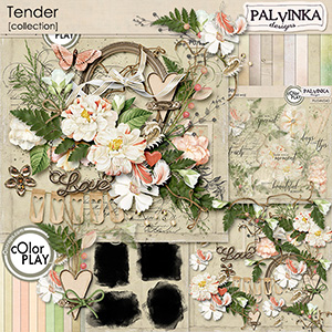 Tender Collection 01