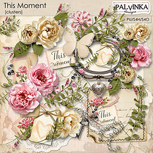 This Moment Clusters