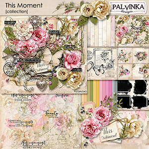 This Moment Collection