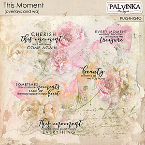 This Moment Overlays and WA