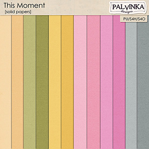 This Moment Solid Papers