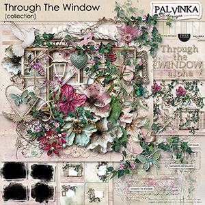 Through The Window Collection