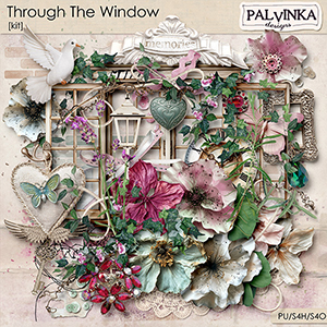 Through The Window Kit