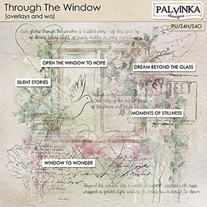 Through The Window  Overlays and WA