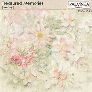 Treasured Memories Overlays