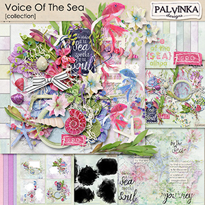Voice Of The Sea Collection