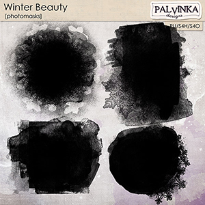 Winter Beauty Photomasks