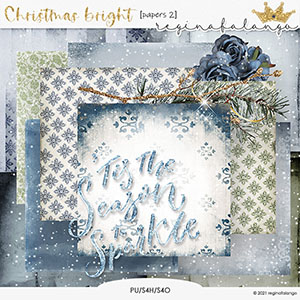 CHRISTMAS BRIGHT PAPERS 2