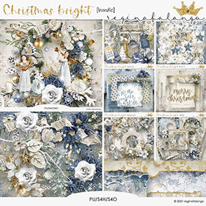 CHRISTMAS BRIGHT BUNDLE