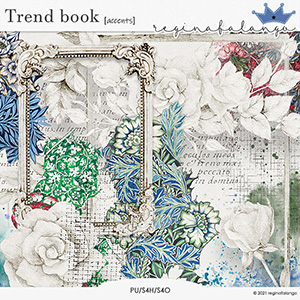 TREND BOOK ACCENTS