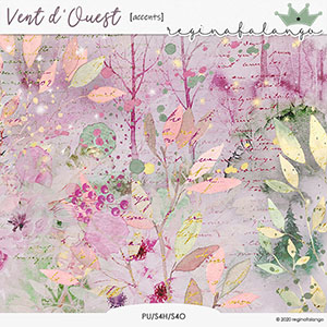 VENT D'OUEST ACCENTS