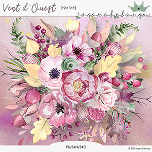 VENT D'OUEST THE KIT