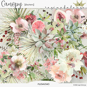 CANOPY CLUSTERS