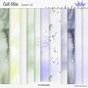 CIEL BLEU PAPERS 2