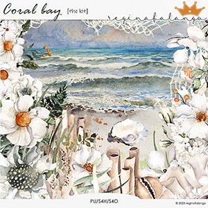 CORAL BAY THE KIT