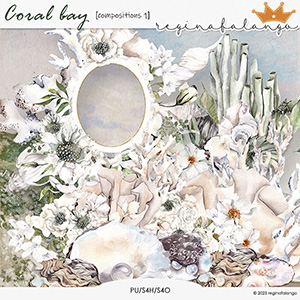 CORAL BAY COMPOSITIONS 1