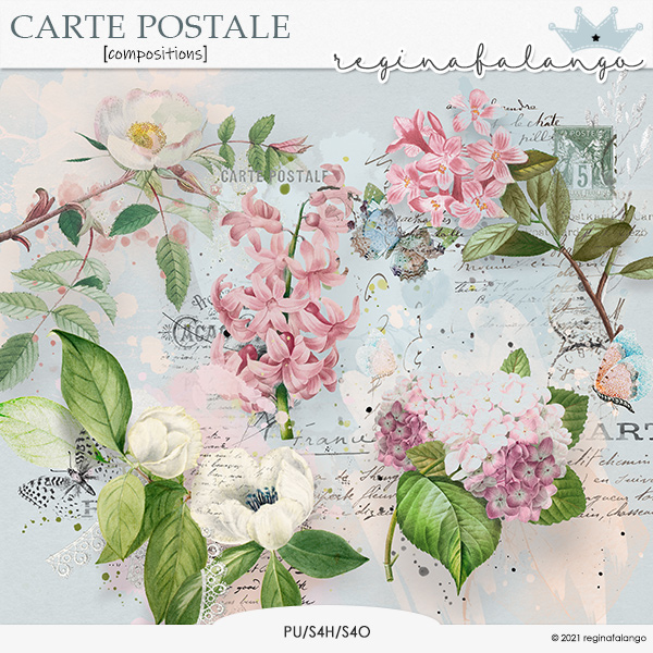 CARTE POSTALE COMPOSITIONS