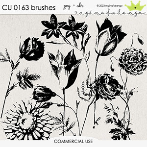 CU 0163 BRUSHES 