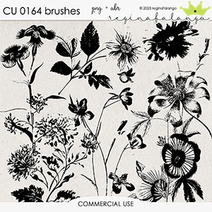 CU 0164 BRUSHES