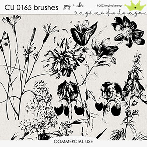 CU 0165 BRUSHES 