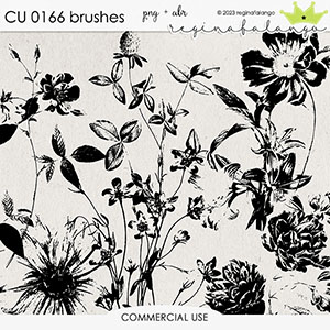 CU 0166 BRUSHES