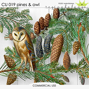 CU 019 PINES AND OWL