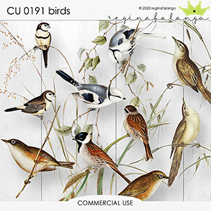 CU 0191 BIRDS
