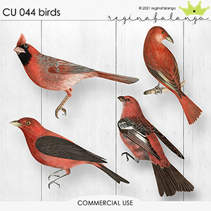 CU 044 BIRDS