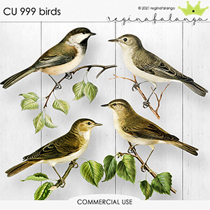 CU 999 BIRDS