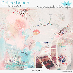 DELICE BEACH ART TRANSFERTS