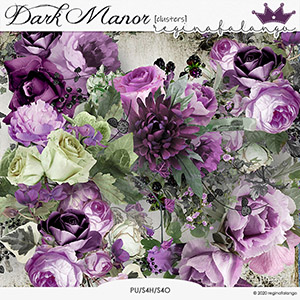 DARK MANOR CLUSTERS