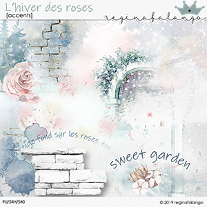 L' HIVER DES ROSES ACCENTS