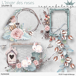 L' HIVER DES ROSES CLUSTER 2 FWP