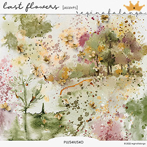 LAST FLOWERS ACCENTS