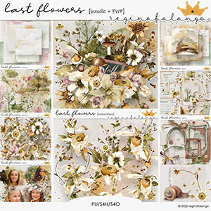 LAST FLOWERS BUNDLE + FWP