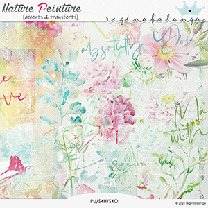 NATURE PEINTURE ACCENTS & TRANSFERS