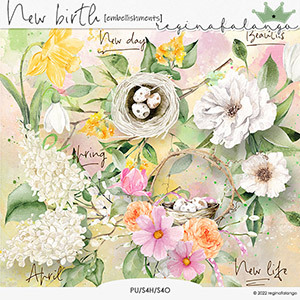 NEW BIRTH EMBELLISHMENTS