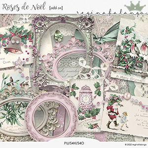 ROSES DE NOEL ADD ON 