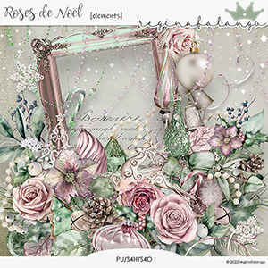 ROSES DE NOEL ELEMENTS