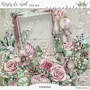 ROSES DE NOEL THE KIT 